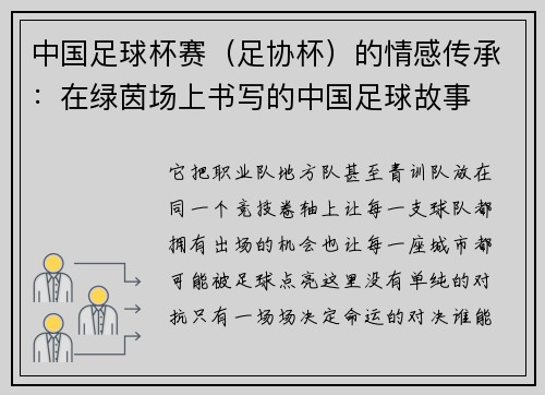 中国足球杯赛（足协杯）的情感传承：在绿茵场上书写的中国足球故事