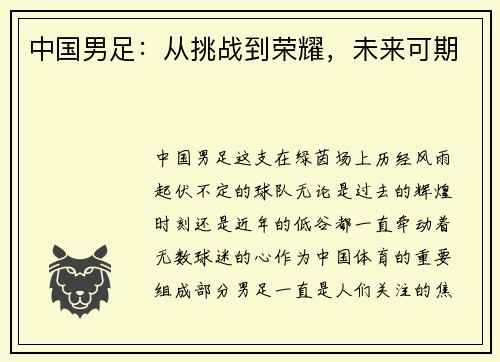 中国男足：从挑战到荣耀，未来可期
